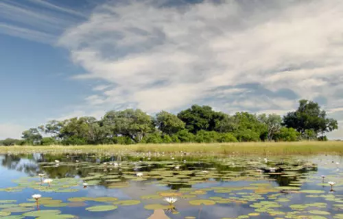 Hotelli Sanctuary Chief's Camp