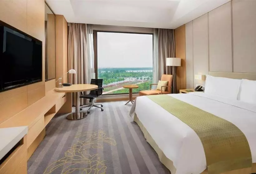 酒店 Holiday Inn Nanyang By Ihg