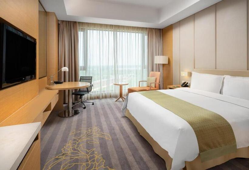 Отель Holiday Inn Nanyang By Ihg