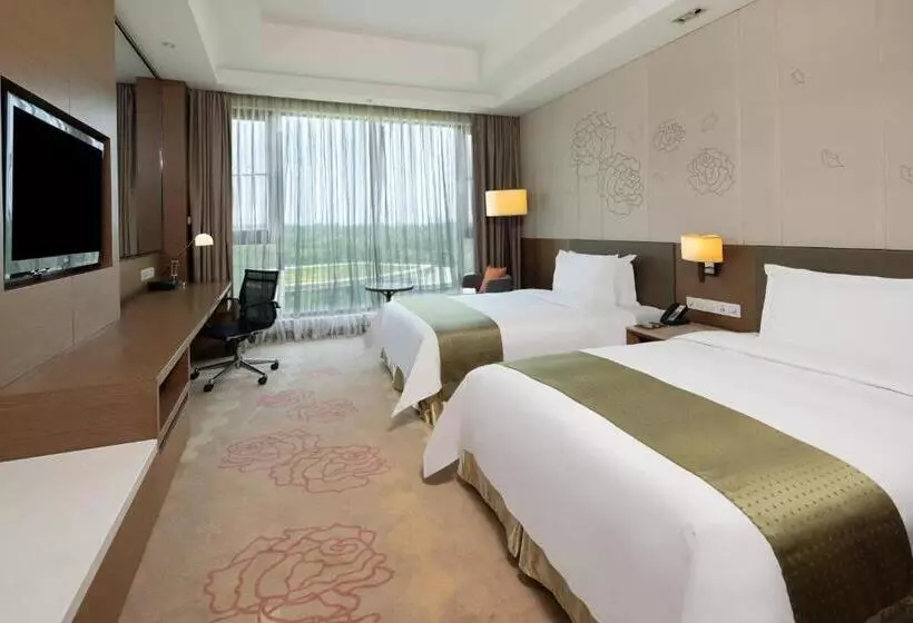 酒店 Holiday Inn Nanyang By Ihg