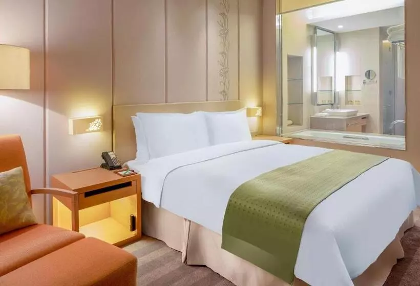 酒店 Holiday Inn Nanyang By Ihg