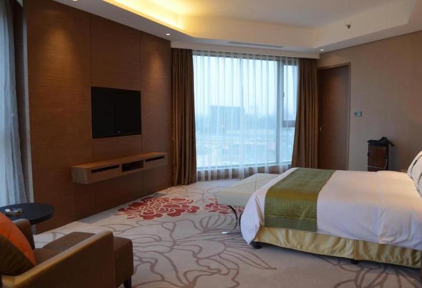 Отель Holiday Inn Nanyang By Ihg