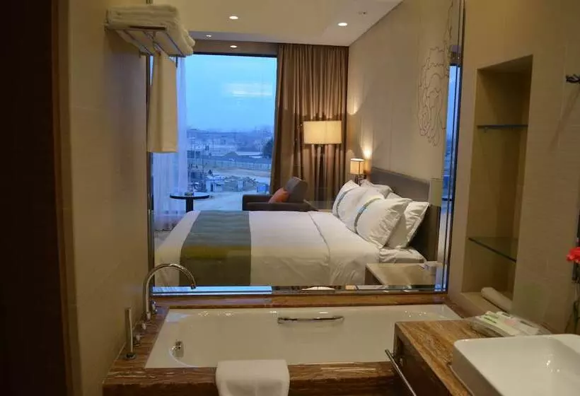 酒店 Holiday Inn Nanyang By Ihg