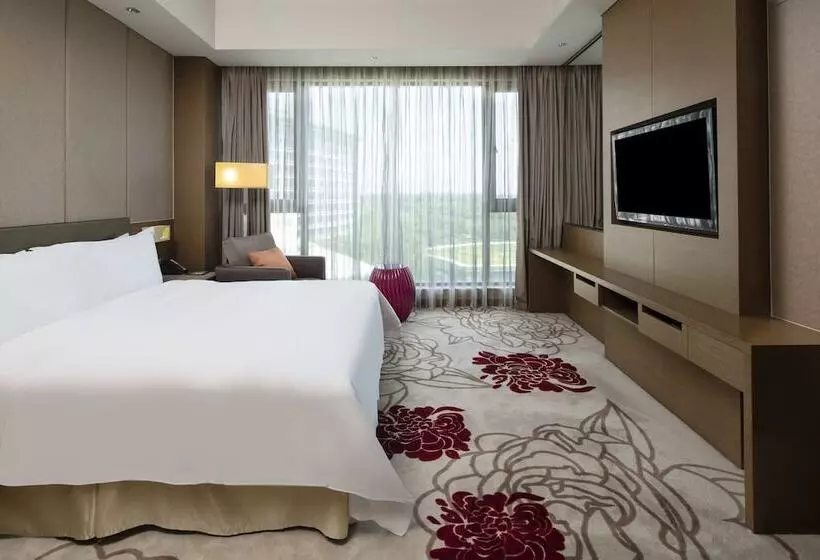 酒店 Holiday Inn Nanyang By Ihg