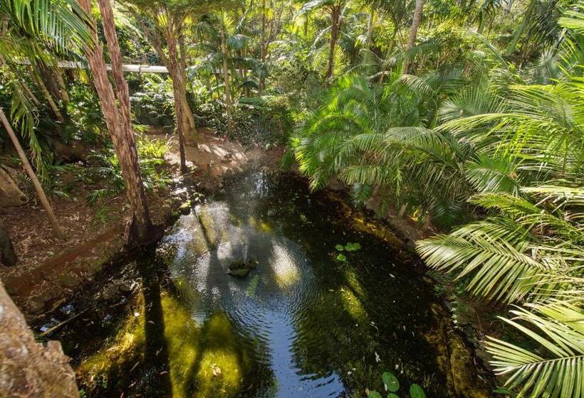 בית מלון כפרי Pethers Rainforest Retreat