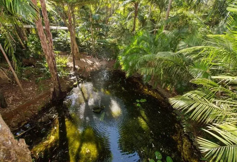 Отель Pethers Rainforest Retreat