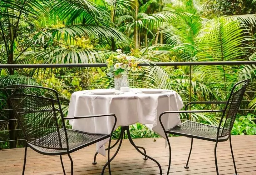Отель Pethers Rainforest Retreat
