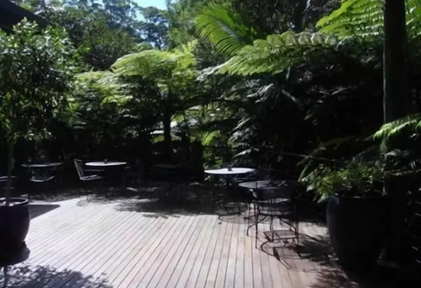 Отель Pethers Rainforest Retreat