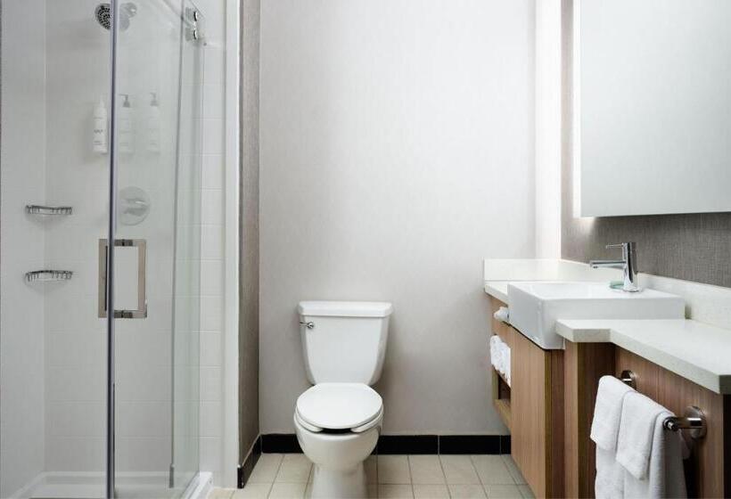 فندق Springhill Suites Minneapolisst. Paul Airport/mall Of America