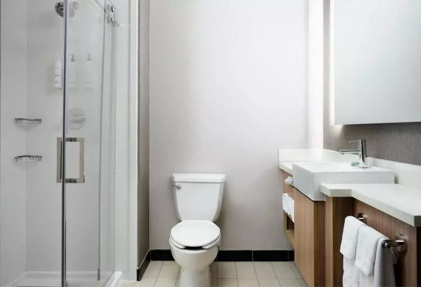 Отель Springhill Suites Minneapolisst. Paul Airport/mall Of America