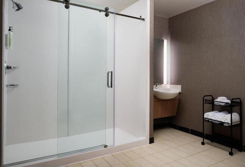 فندق Springhill Suites Minneapolisst. Paul Airport/mall Of America