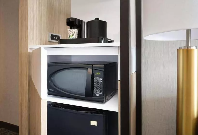 Отель Springhill Suites Minneapolisst. Paul Airport/mall Of America