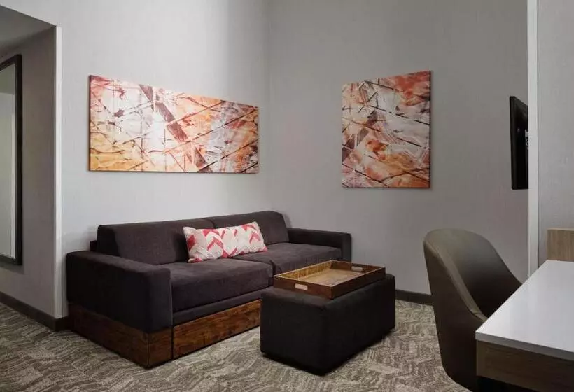 Отель Springhill Suites Minneapolisst. Paul Airport/mall Of America