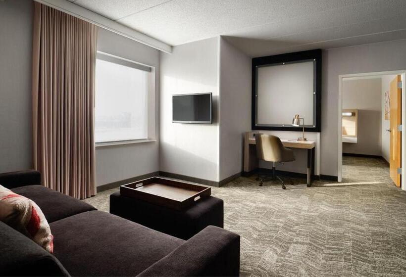 فندق Springhill Suites Minneapolisst. Paul Airport/mall Of America