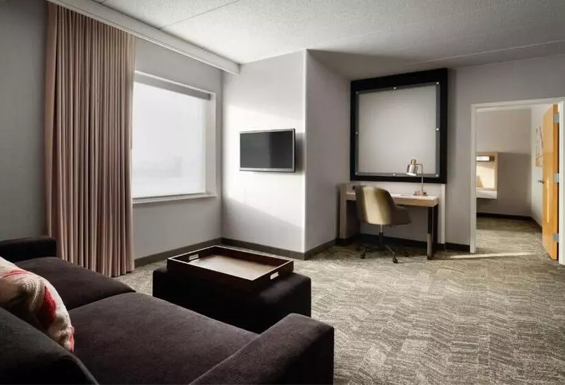 Отель Springhill Suites Minneapolisst. Paul Airport/mall Of America