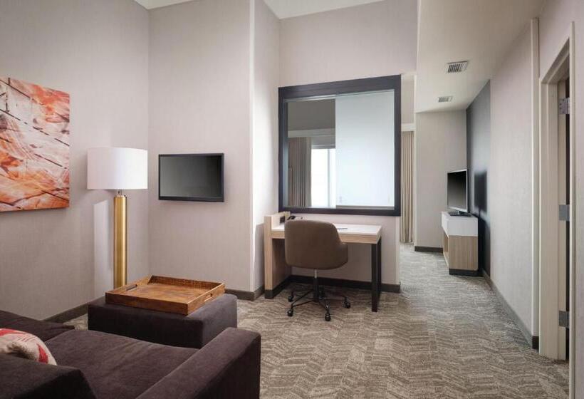 فندق Springhill Suites Minneapolisst. Paul Airport/mall Of America
