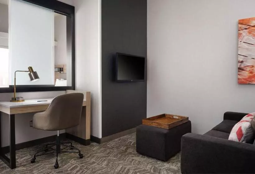 Отель Springhill Suites Minneapolisst. Paul Airport/mall Of America