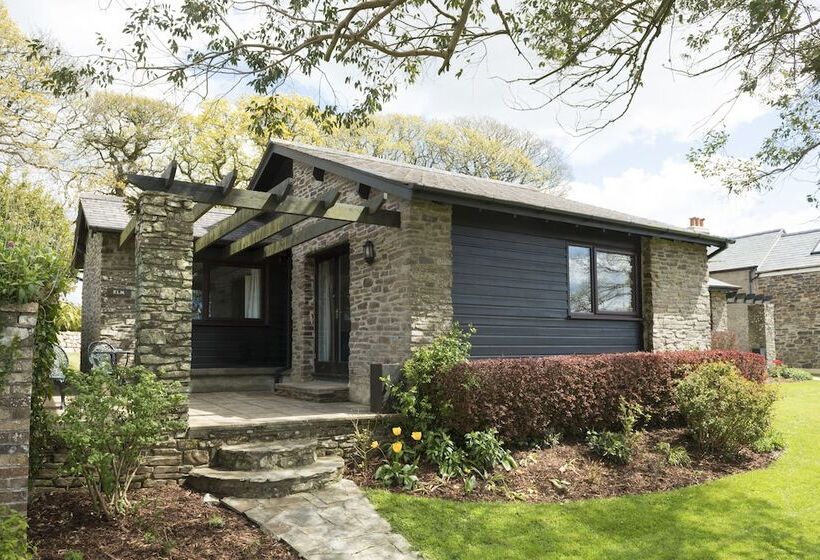 호텔 Trenython Manor Resort