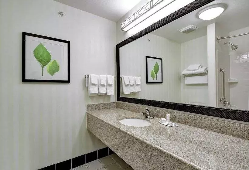 Fairfield Inn And Suites By Marriott San Antonio Boerne