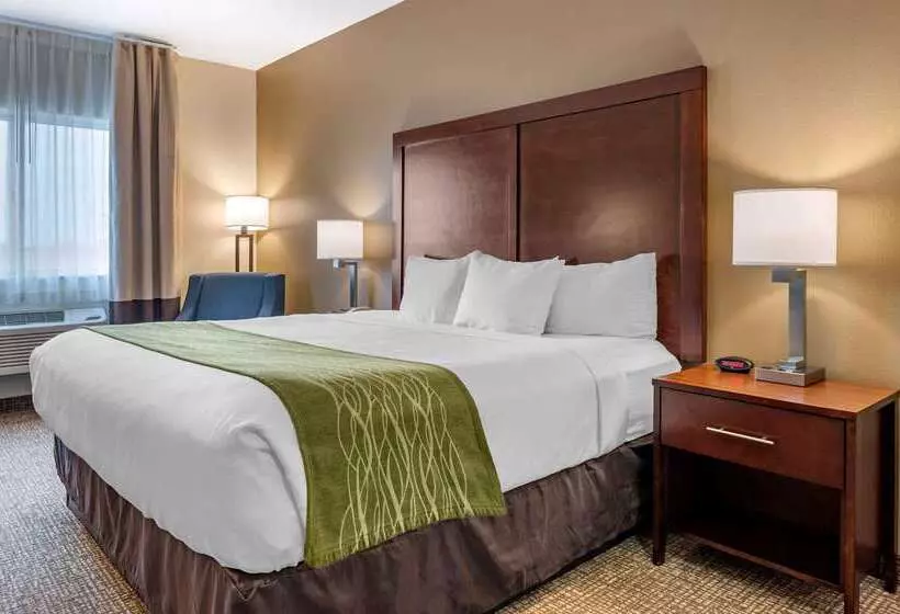 호텔 Comfort Inn Hebronlowell Area