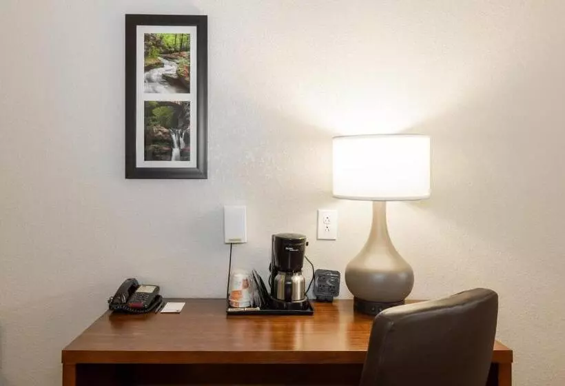 בית מלון כפרי Comfort Suites Troyi75