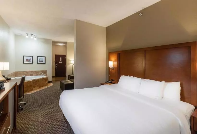 בית מלון כפרי Comfort Suites Troyi75