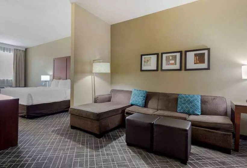 酒店 Comfort Suites Waco North Near University Area