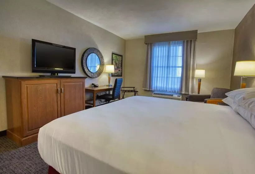 酒店 Drury Inn & Suites San Antonio Near La Cantera