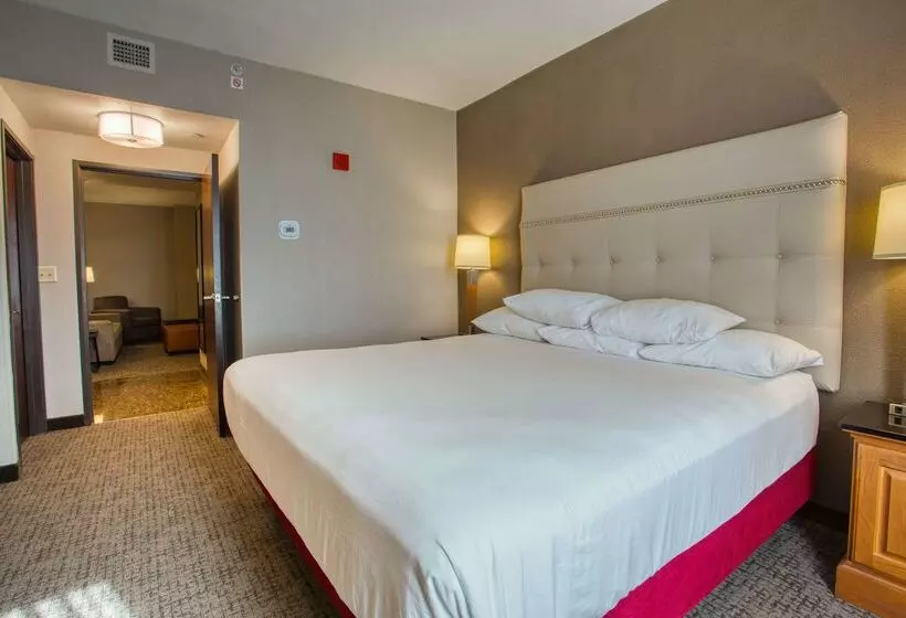 酒店 Drury Inn & Suites San Antonio Near La Cantera