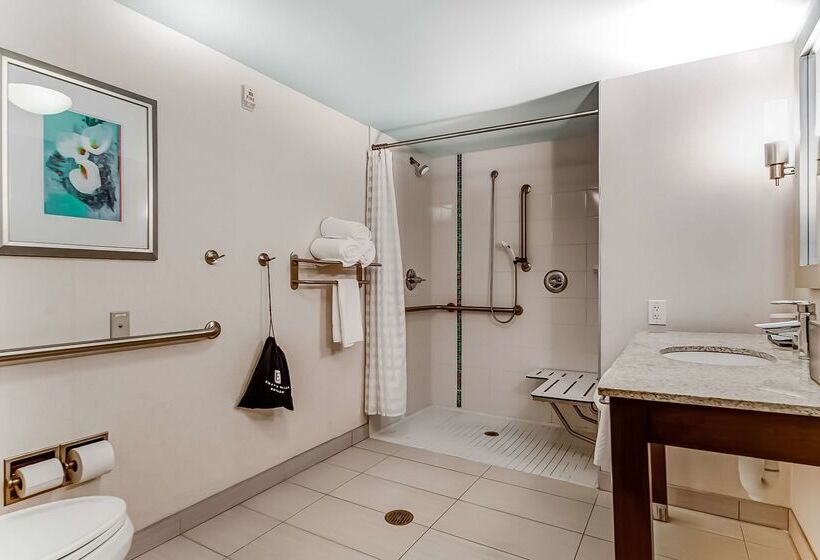 בית מלון כפרי Embassy Suites Atlanta   Kennesaw Town Center