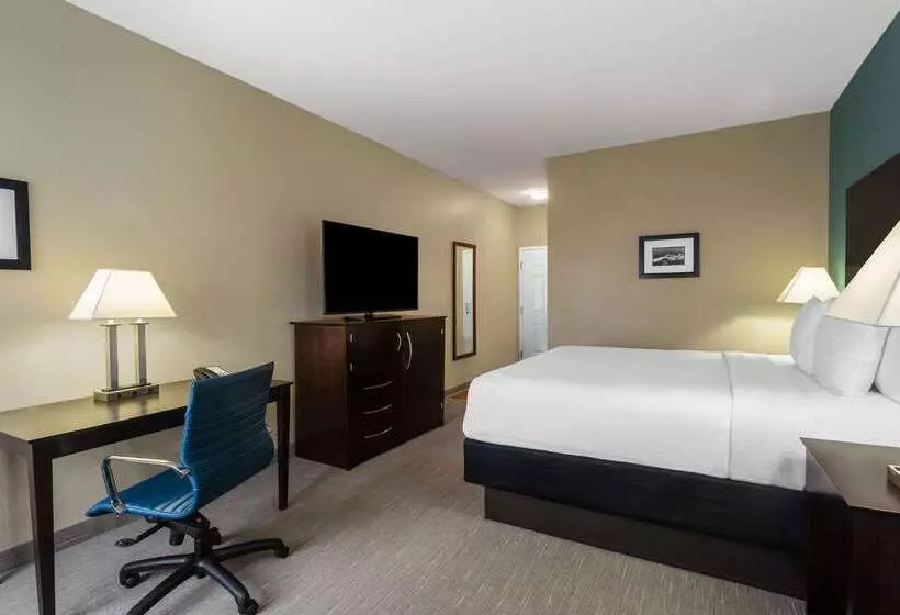 ホテル La Quinta By Wyndham Sebring