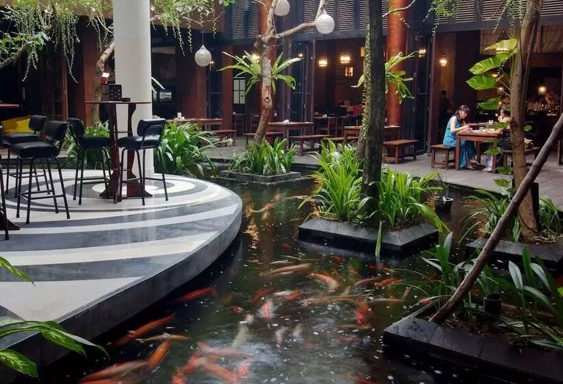 Swiss Belhotel Rainforest