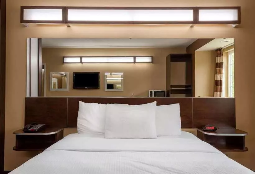 Microtel Inn & Suites By Wyndham Columbia