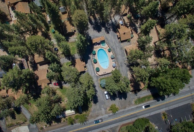 منتجع Golden Bear Cottages