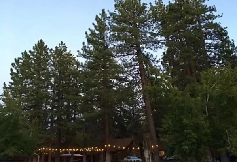 אתר נופש Golden Bear Cottages