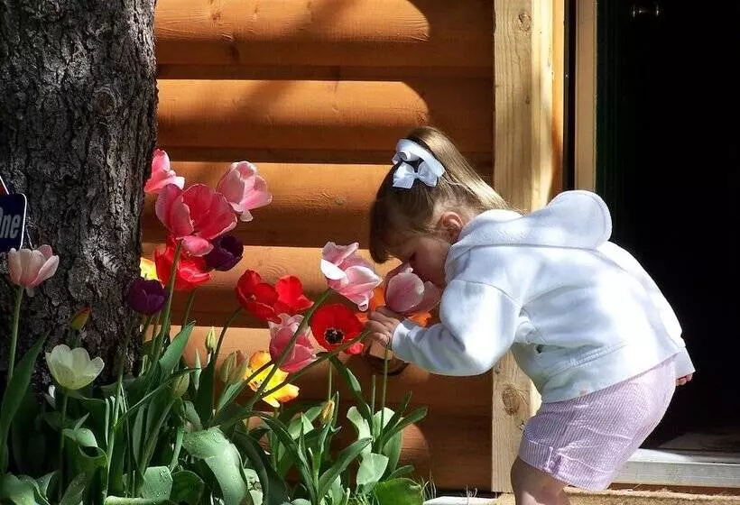 אתר נופש Golden Bear Cottages