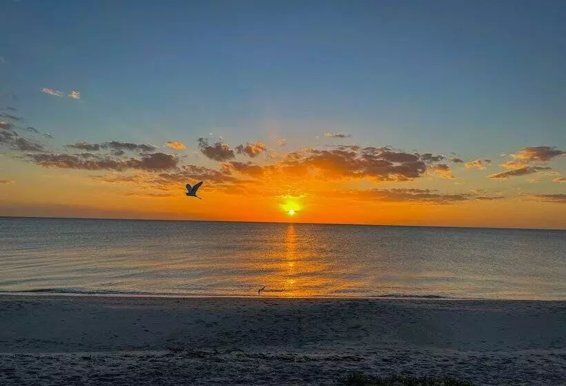 리조트 The Pearl Beach Inn