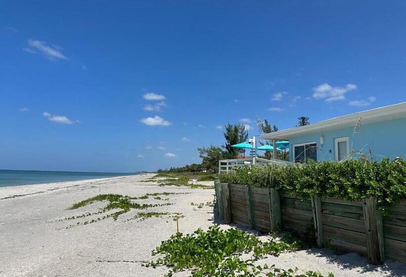 渡假胜地  The Pearl Beach Inn