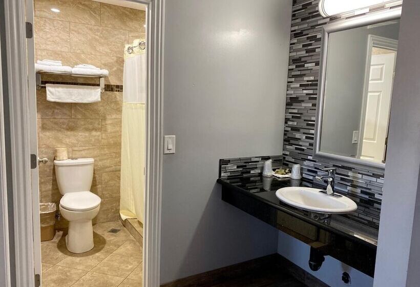 Viking Motel Ventura