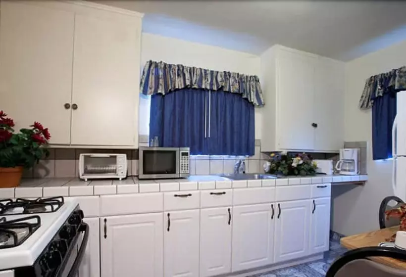 Viking Motel Ventura