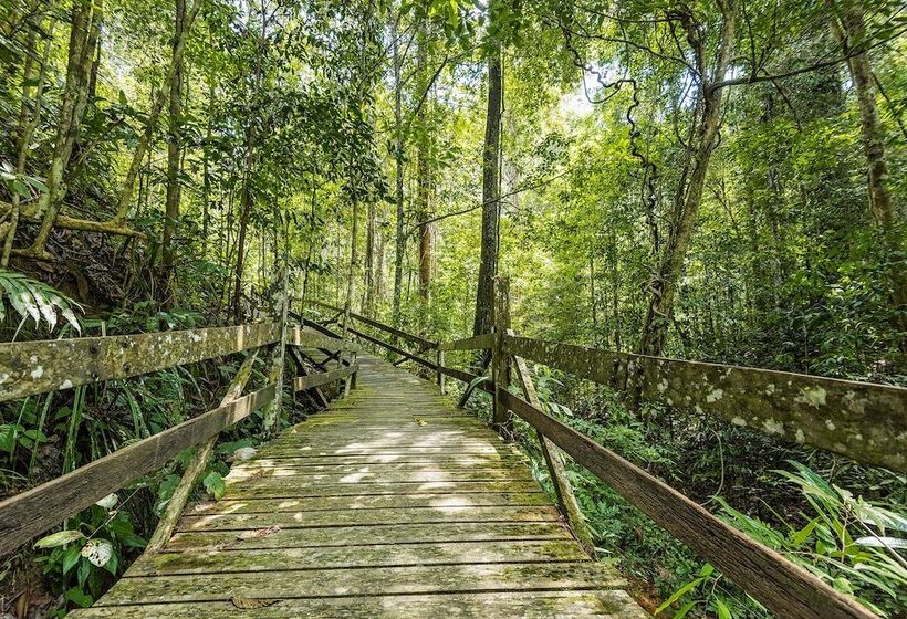 Borneo Tropical Rainforest Resort