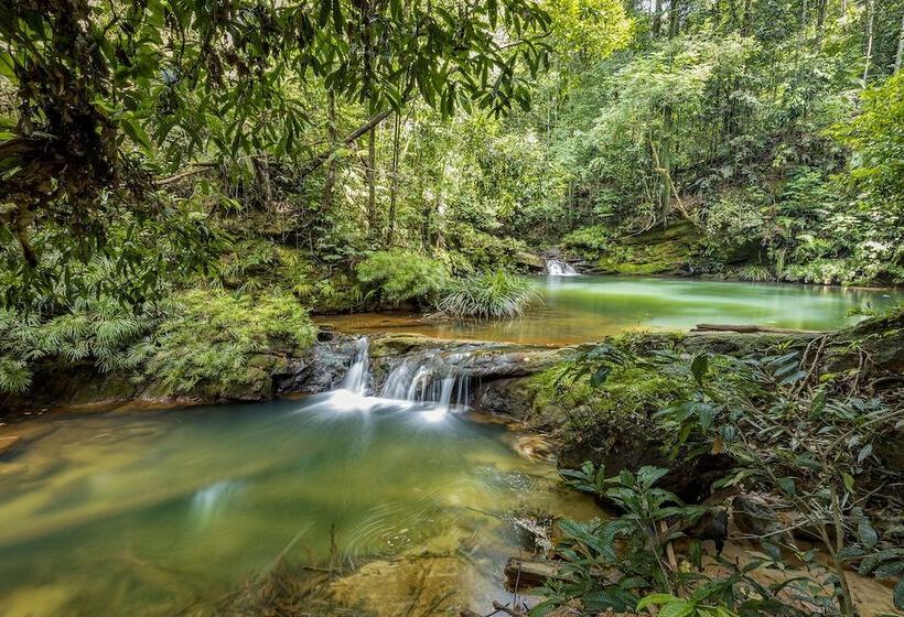Borneo Tropical Rainforest Resort