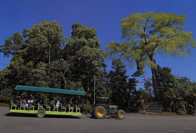 Borneo Tropical Rainforest Resort