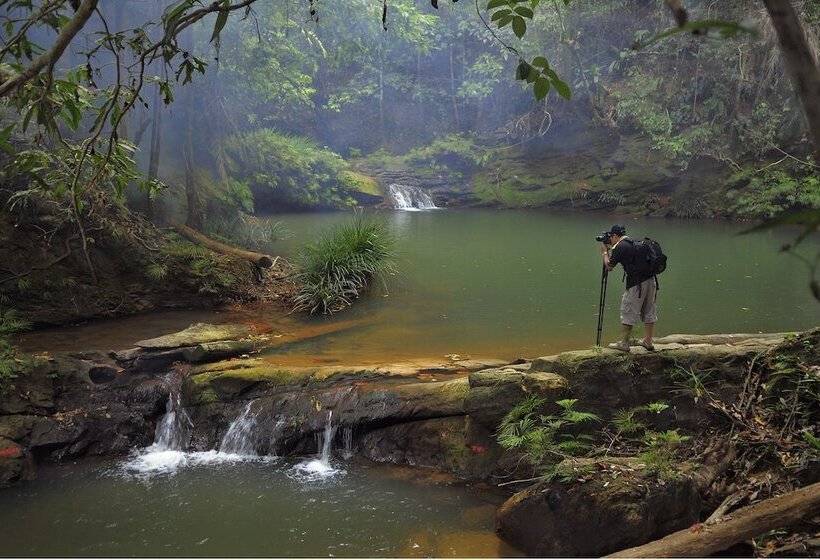 Borneo Tropical Rainforest Resort