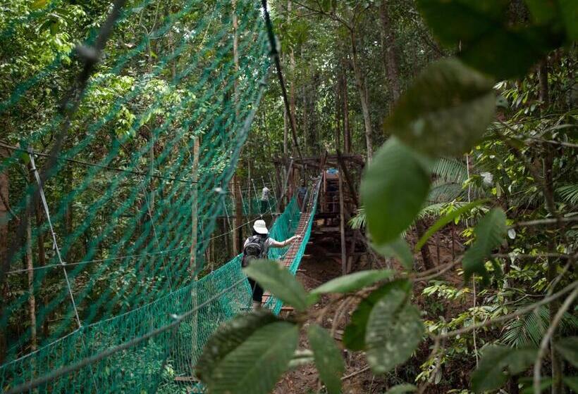 Borneo Tropical Rainforest Resort