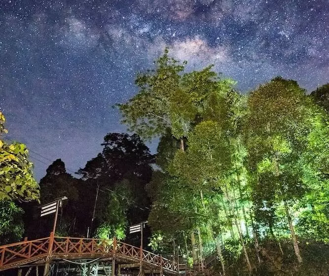 Borneo Tropical Rainforest Resort