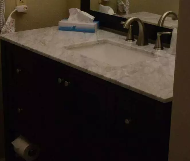 Hotel Brookshire Inn & Suites