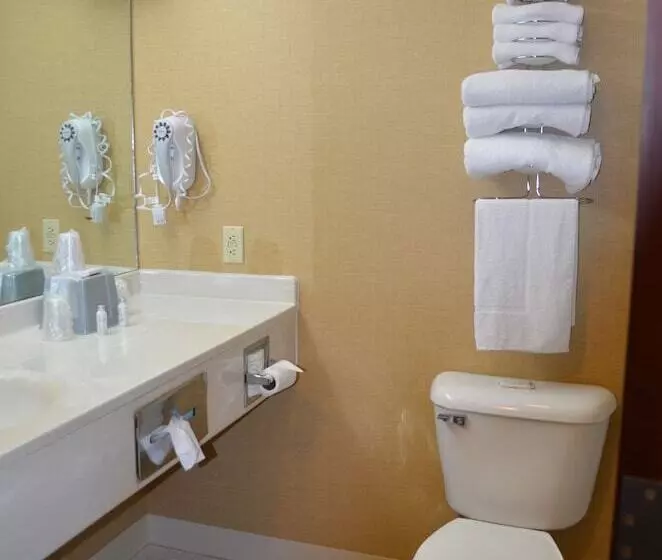 Hotel Brookshire Inn & Suites