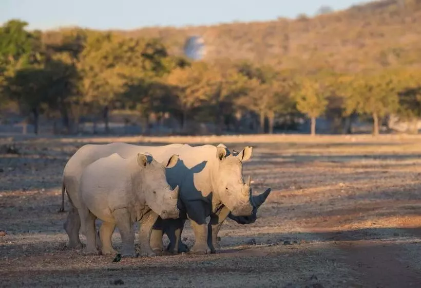 هتل Little Ongava