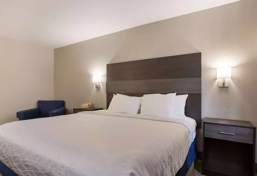 Hotelli Rodeway Inn Branson, Brick House